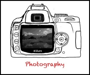 20121111-224544.jpg