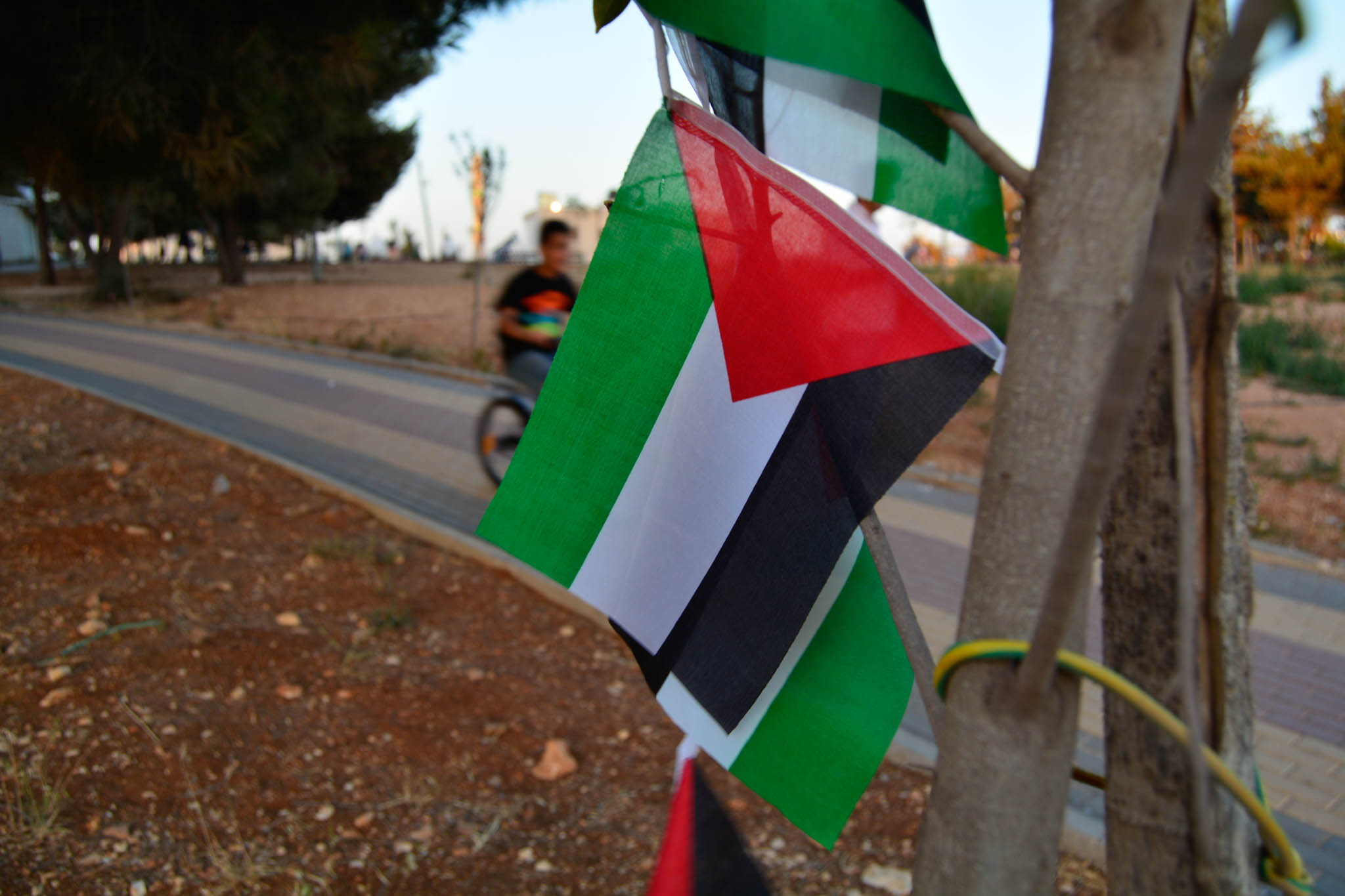 A visit to Ramallah with Fareed Ta'amallah Public Park in Ramallah