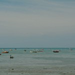 DSC9870 150x150